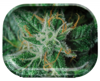 Rolling Tray metal 18 x 14 cm AK-47 Strains